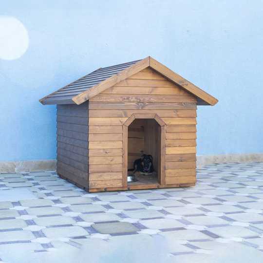 Dog House · Digər məhsullar - IDEA.AZ